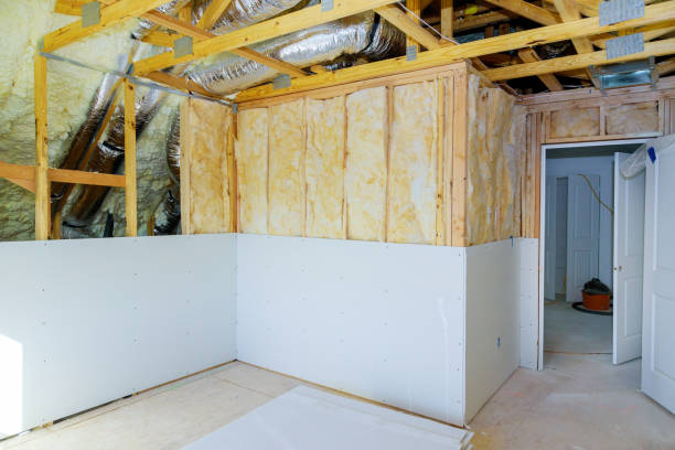 Best Geographic-Specific Insulation Services in St Anne, IL
