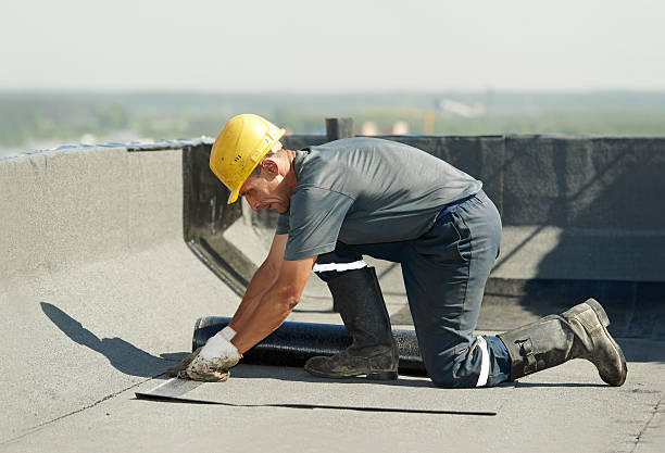 Best Cellulose Insulation in St Anne, IL