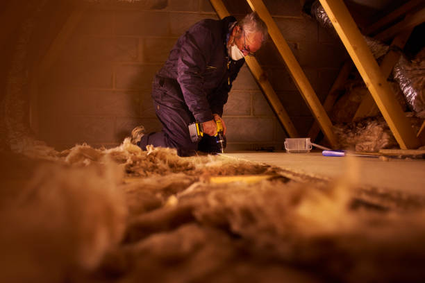 Best Fiberglass Insulation in St Anne, IL